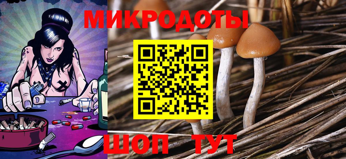 Галлюциногенные грибы Cubensis Дивногорск