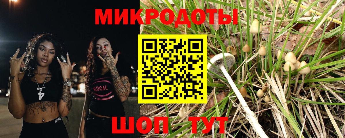 Галлюциногенные грибы Psilocybine cubensis  Галлюциногенные грибы GOLDEN TEACHER  Вход с VPN  Дивногорск 
